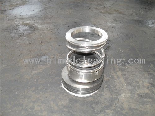 Mechanical seal01